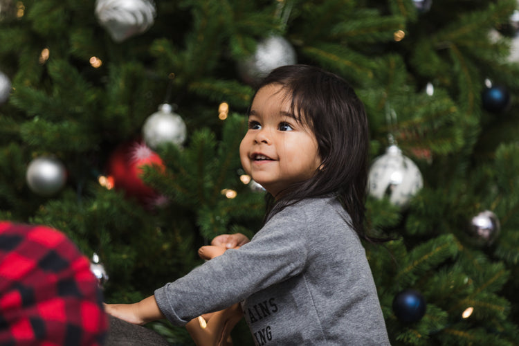 Christmas Accessories and Decorations.