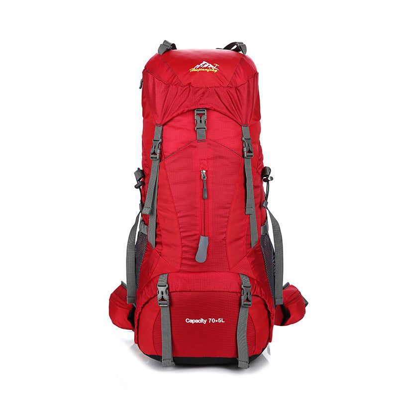 Professional Mountaineering Package Outdoor Camping Backpack Large Capacity Leisure - Enfance-Heureuse