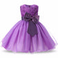 Princess Flower Girl Dress Summer Tutu Wedding Birthday Party Dresses - Enfance-Heureuse