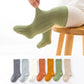 Double Needle Baby Knee Length Socks - Enfance-Heureuse